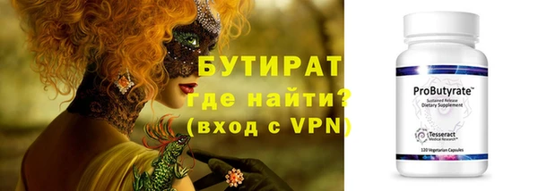 прущие грибы Новозыбков