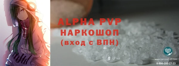 прущие грибы Новозыбков