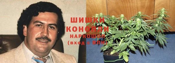 стаф Абдулино