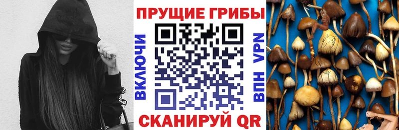 кракен маркетплейс  Лакинск  Псилоцибиновые грибы Cubensis 